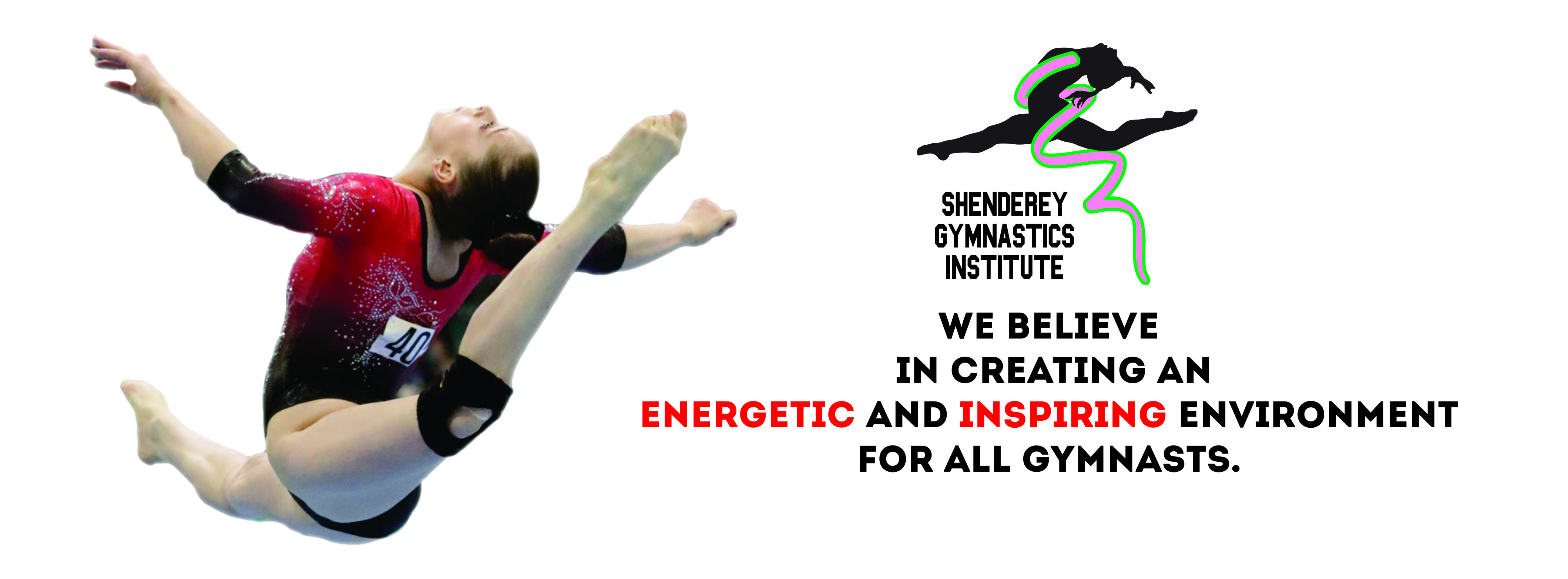 Shenderey Banner.jpg